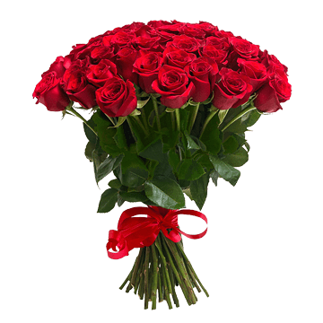 Bouquet de roses rouges