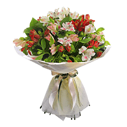 Le vol des papillons