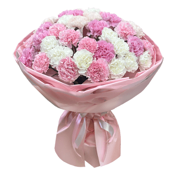 Bouquet of carnations