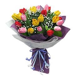Bouquet of tulips