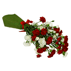 Œillet de brousse
