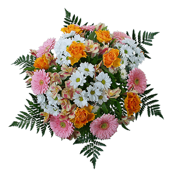Ізабель