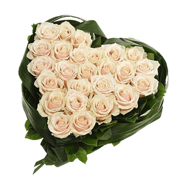 Heart from white roses