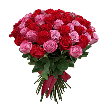 Bouquet de roses rouges et roses