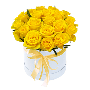 Yellow roses in box