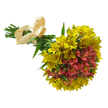 Bouquet dalstroemerias