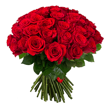 Bouquet de roses rouges