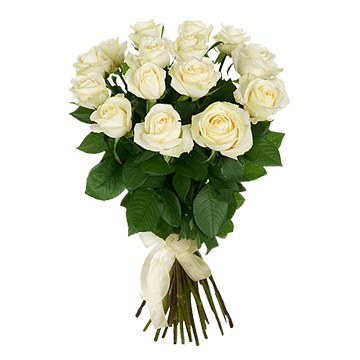 Bouquet de roses blanches