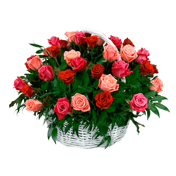 Panier de roses