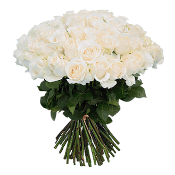 Bouquet de roses blanches