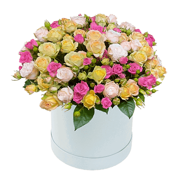 Roses dans une boîte