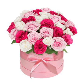 Roses dans une boîte