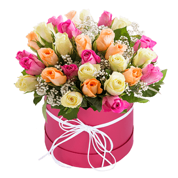 Roses dans une boîte