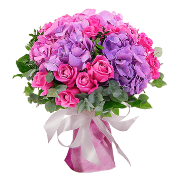 Rêves roses