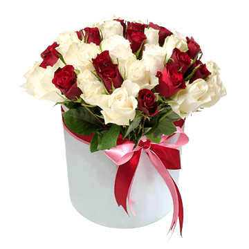 Roses dans une boîte