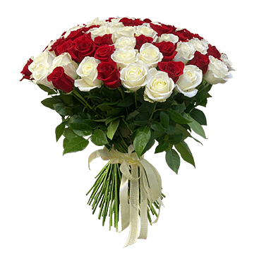 Bouquet de roses rouges et blanches