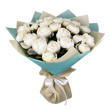 Pivoines