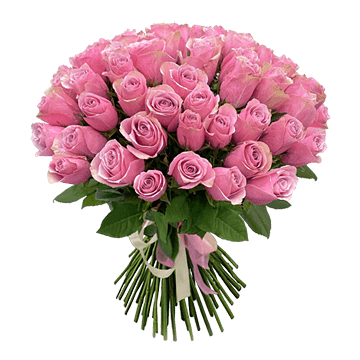 Bouquet de roses roses