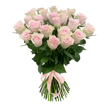 Sentiment Tendre