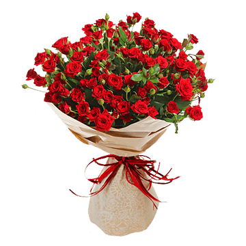 Bouquet de roses de brousse