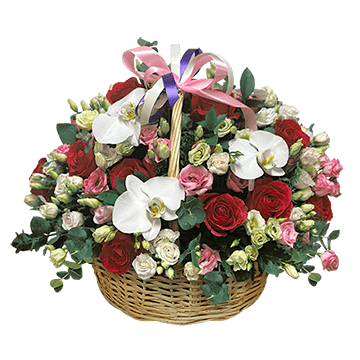 Merveille Festive