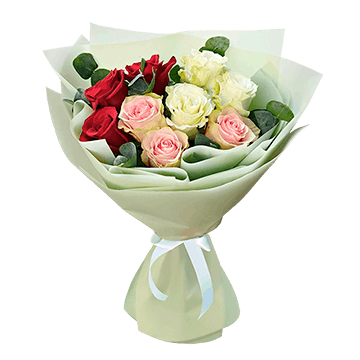 Harmonie der Rosen