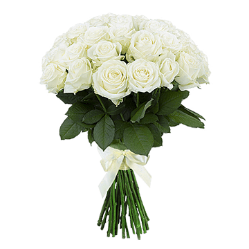 Ramo de rosas blancas (70-80 cm.)