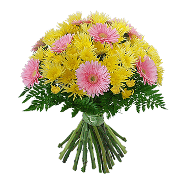 Bouquet de chrysanthèmes et gerberas