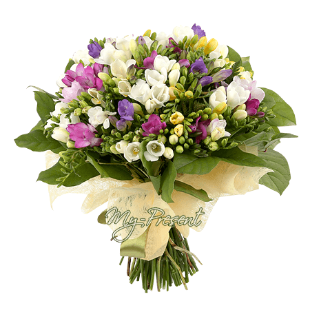 Ramo de fresias