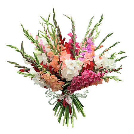 Bouquet de glaïeuls colores