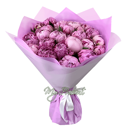 Bouquet de pivoines roses — élégance et romantisme à la manière provençale