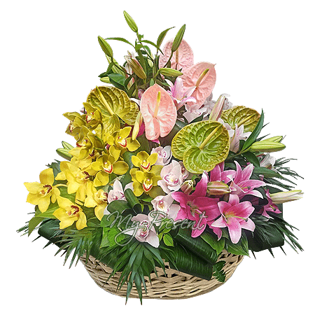 Blumenkorb mit Orchideen, Lilien und Anthurien – ein luxuriöses Geschenk für besondere Anlässe