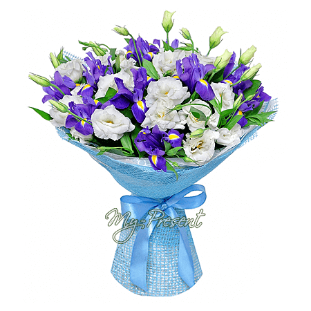 Bouquet d’iris bleus et de lisianthus blancs — symbole de sincérité et de gratitude