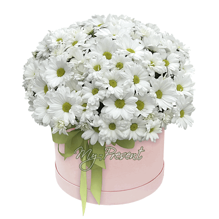 Bouquet de chrysanthèmes marguerites dans une boîte à chapeau — un doux souvenir d’été