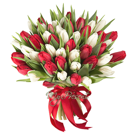 Ramo de tulipanes blancos y rojos — clásico de elegancia y armonía