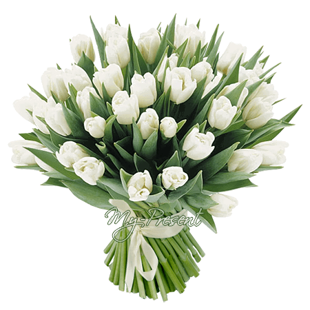 Bouquet de tulipes blanches — symbole de sincérité et d’amour tendre