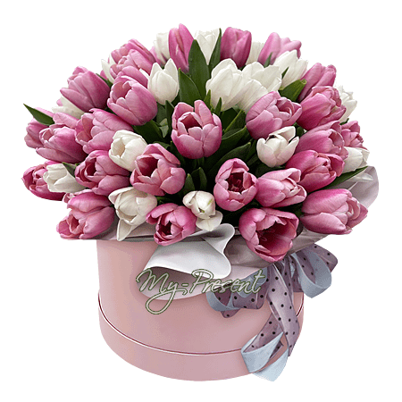 Tulipanes en una caja — símbolo de amor, ternura y respeto