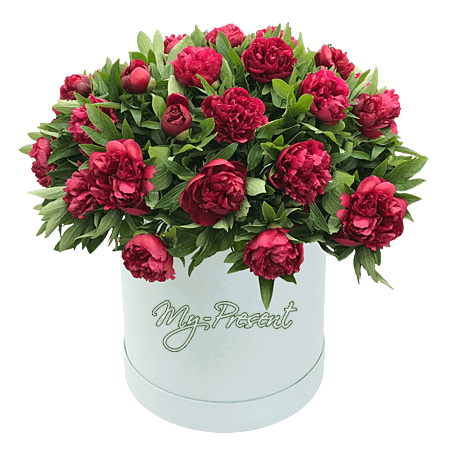 Peonias en una caja decorativa — símbolo de pasión y elegancia