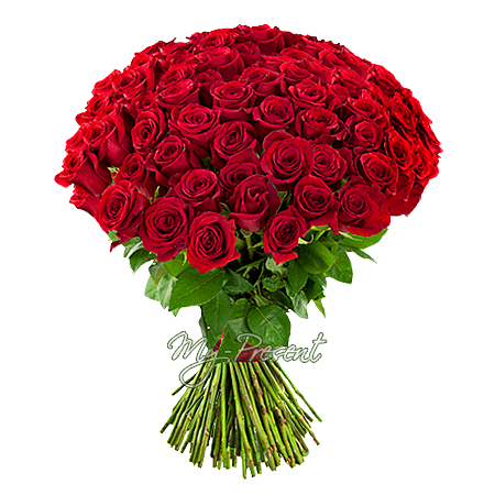 Bouquet de roses rouges (70-80 cm) — la force de la passion et de l’inspiration